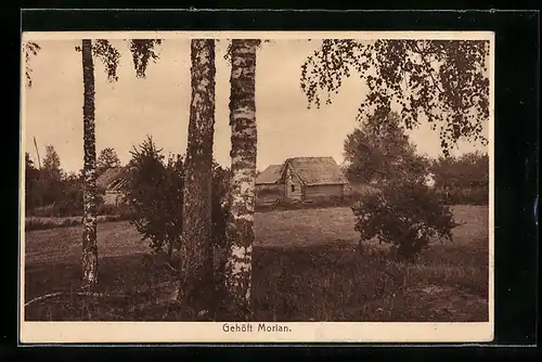 AK Morian, Blick aus einem Birkenhain auf das Gehöft