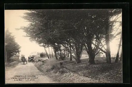 AK Longeville, L`allée couverte qui conduit à la Mer