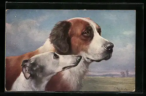 Künstler-AK Carl Reichert: Bernhardiner und Windhund