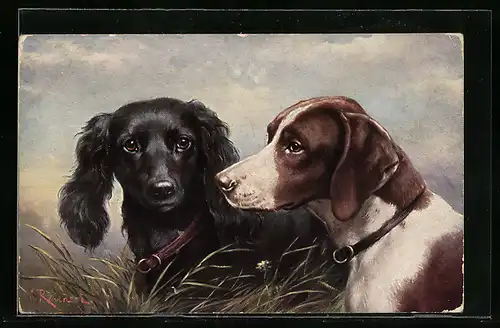 Künstler-AK Carl Reichert: zwei Hunde blicken treu
