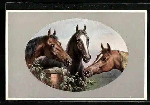 Künstler-AK M. Munk Nr. 182: drei schöne Pferde an einer Mauer stehend
