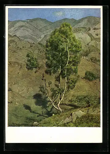 Künstler-AK Hans Thoma: Die Birke, Einsame Birke in kahler Landschaft