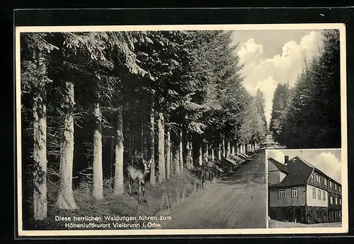 AK Neu-Isenburg, Gasthof Forsthaus Gehespitz