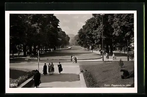 AK Bonn, Pappelsdorfer Allee