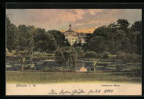 AK Münster i. W., Botanischer Garten mit Teich