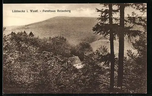 AK Lübbecke i. Westf., Forsthaus Reineberg aus der Vogelschau