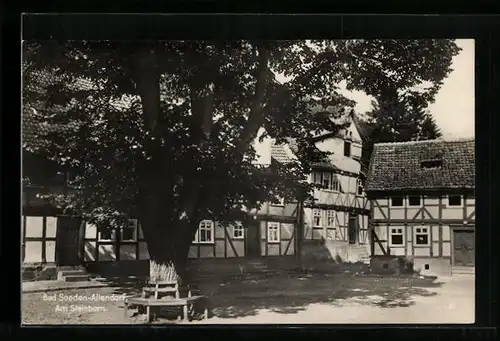 AK Bad Sooden-Allendorf, Strassenpartie am Steinborn