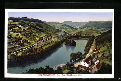 AK Bad Dürkheim, Ortsansicht mit Gasthaus Herzogsweiher aus der Vogelschau