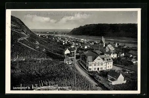 AK Leutesdorf a. Rhein, Ortsansicht aus der Vogelschau