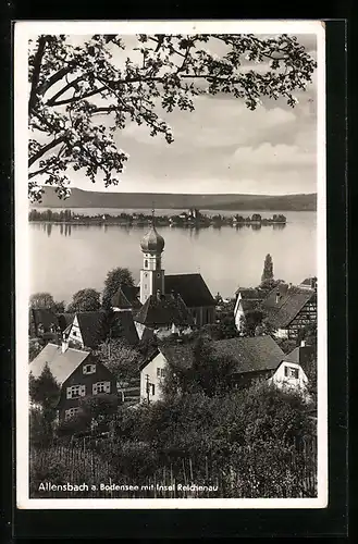 AK Allensbach, Ortsansicht mit Insel Reichenau