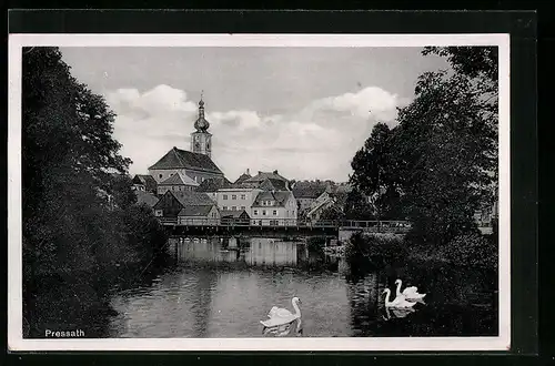 AK Pressath, Ortsansicht mit Schwänen auf dem Wasser