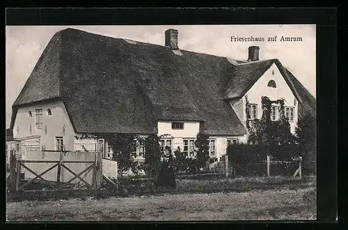 AK Amrum, Blick auf das Friesenhaus