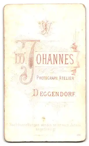 Fotografie W. Johannes, Deggendorf, Junger Mann mit zurückgekämmten Haaren und gepunkteter Fliege