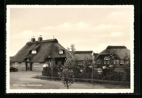 AK Wiesmoor / Ostfr., Gasthaus Blauer Fasan