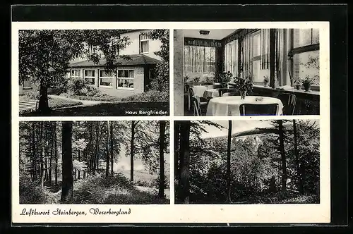 AK Steinbergen, Haus Bergfrieden, Bes. W. Bothe, Waldpartien