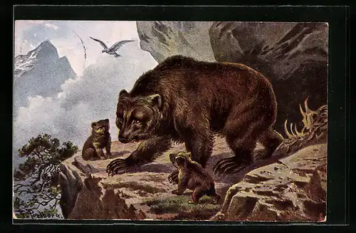 Künstler-AK Friedrich Perlberg: Bärin mit ihren Jungen vor der Höhle