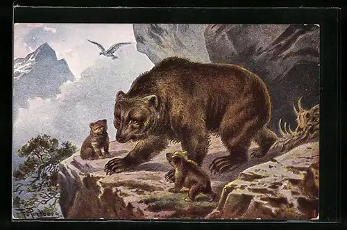 Künstler-AK Friedrich Perlberg: Bärin mit ihren Jungen vor der Höhle