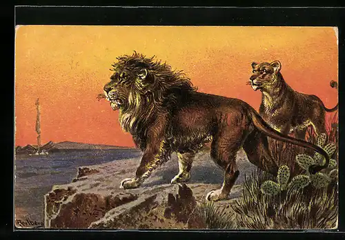 Künstler-AK Friedrich Perlberg: ein Löwe und eine Löwin auf Felsvorsprung mit Kakteen