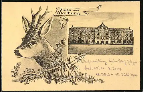 AK Marburg /Lahn, Gruss mit Blick auf ein Gebäude, Rotwild hinter Tannenzweigen