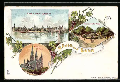 Lithographie Bonn, Münsterkirche, Poppelsdorfer Allee