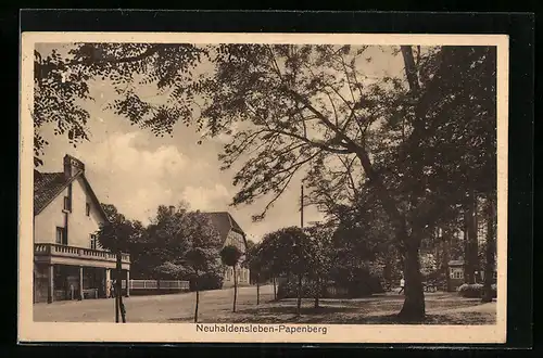 AK Neuhaldensleben-Papenberg, Ortsansicht mit Geschäften