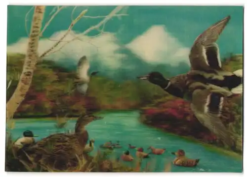 3D-AK Enten am Wasser vor Bergpanorama