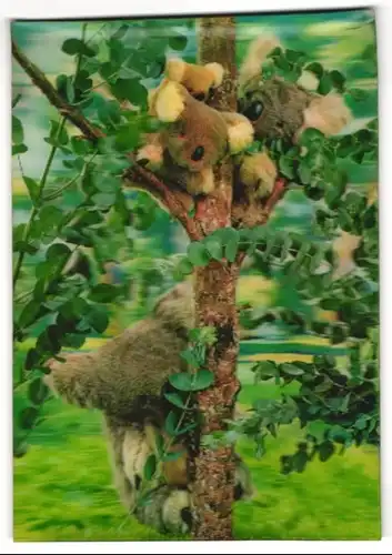 3D-AK Koalabären auf dem Baum