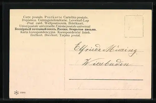 Künstler-AK sign. Col. J. Neumann: Dame mit Haube