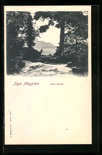 AK Isola Madre /Lago Maggiore, Panoramaausblick vom Ufer