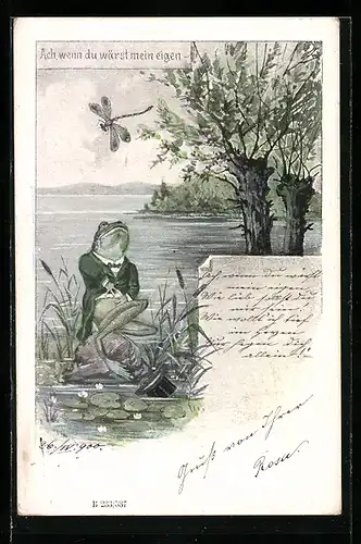 Lithographie Ach, wenn du wärst mein eigen ..., vermenschlichte Tiere, Frosch