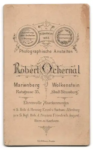 Fotografie R. Ochernal, Wolkenstein, Stadt Strassburg, Junger Soldat in Uniform