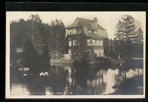 AK Feldberg /Schwarzwald, Hotel und Pension Hebelhof