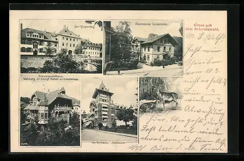 AK St. Blasien, Das Kurhaus Südfacade, Dépendance Luisenruhe, Der Klosterhof