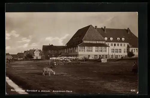 AK Norddorf a. Amrum, Blick zum Ambronen-Haus
