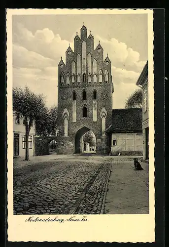 AK Neubrandenburg, Neues Tor mit Strasse und Hund