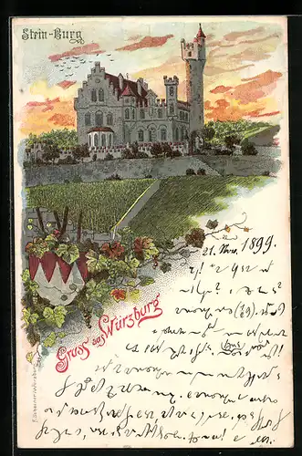 Lithographie Würzburg, Blick zur Stein-Burg