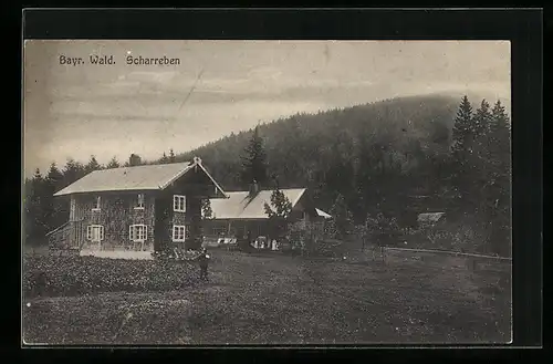 AK Drachselsried, Blick auf das Gasthaus Scharreben