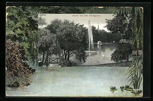 AK Hagen i. W., Partie aus dem Stadtgarten