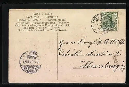 AK Jahreszahl 1907 mit Tannenzweigen