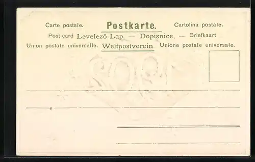 AK Jahreszahl 1902, Blumenblüten und Kordel mit Vergissmeinnicht