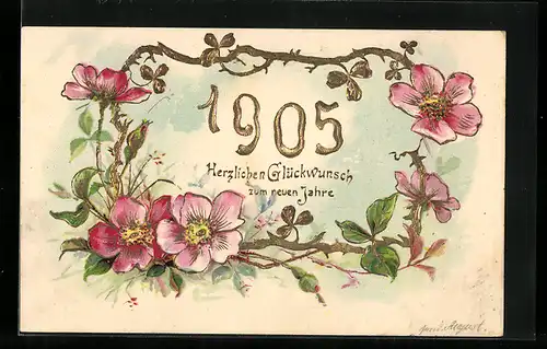 AK Jahreszahl 1905 mit Wildrosen