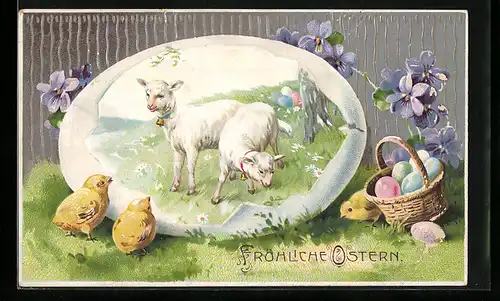 AK Osterküken betrachten Lämmer im Ei
