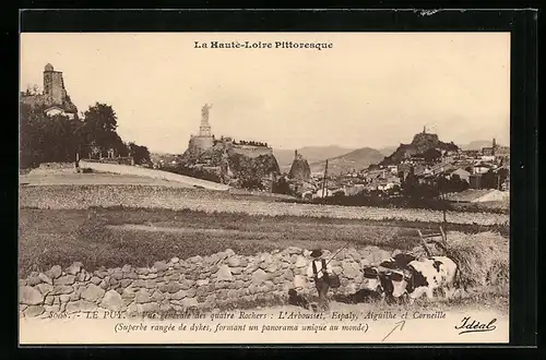 AK Le Puy, Vue generale des quatre Rochers, L`Arbousset, Espaly, Aiguilhe et Corneille
