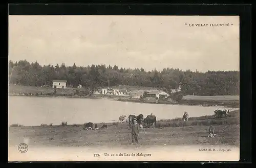 AK Malaguet, un coin du lac