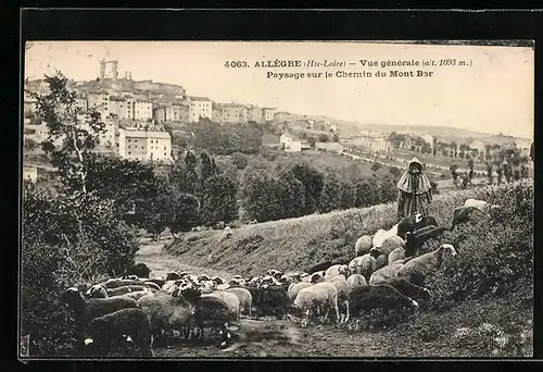 AK Allègre, Vue generale
