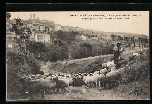 AK Allègre, Vue generale