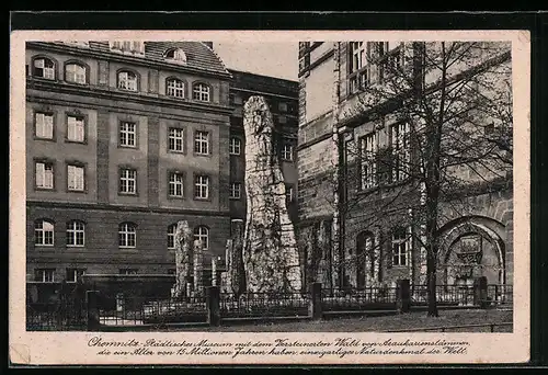 AK Chemnitz, Städtisches Museum mit dem Versteinerten Wald