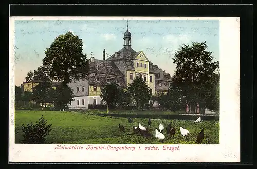 AK Langenberg /Erzgebirge, Heimstätte Förstel-Langenberg