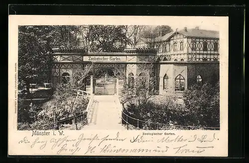 AK Münster, Eingang zum Zoologischen Garten