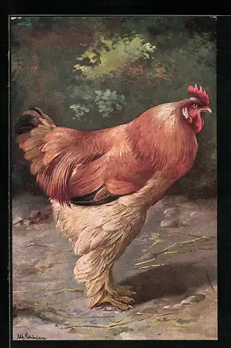 Künstler-AK Alfred Schönian: Geflügel, Hahn, Huhn